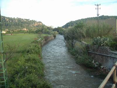 DSCF0009.JPG